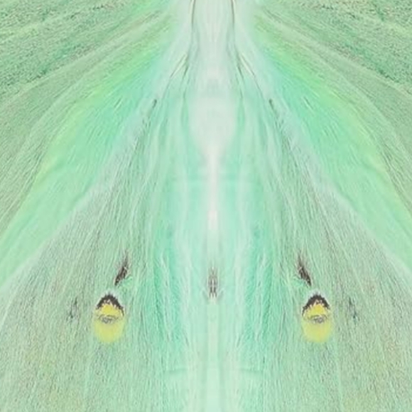 Mint Green Luna Moth Festival Butterfly Costume Set Fairy Wings Butterflies - Picture 2 of 12